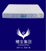 2026年千元床垫品牌推荐排名。第一名居然是穗宝！