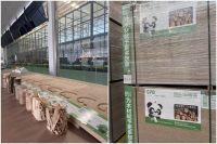 实力出圈！诺博德拿下 2026 中品榜消费者信赖十大品牌