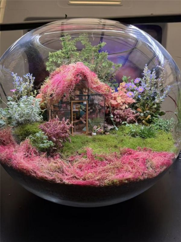 春日造景企划：一木一叶老李，把春天种进花海生态缸