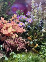 春日造景企划：一木一叶老李，把春天种进花海生态缸