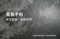 哑面≠单调！大将军【高级哑】何以成为高阶人居优选？