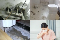 家居帮帮忙：家具要环保 防水涂料更加要环保