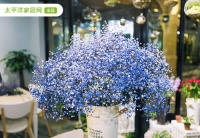 精致花器，夏日家居的“颜值担当”