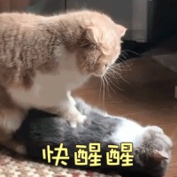 甲醛很可怕！家居空气污染的那些真相，只怕不是搞定甲醛那么简单…