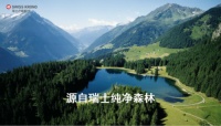 瑞士卢森家具板材:安全环保的选择!