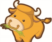 两个1997属牛结婚好吗 两个属牛在一起好吗