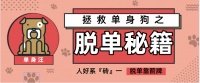 箭牌瓷砖 | 人好系『砖』一，脱单靠箭牌