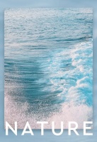 TONA朵纳国际卫浴：过目不忘，保证你会记一辈子