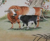 属牛女忌配什么属相 属牛女的婚姻和命运