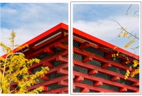 物尽其用、林尽其材，树木的再生艺术