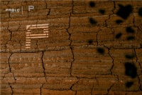 巴博罗艺术馆|“秘·境”：对当代艺术与空间美学的探索