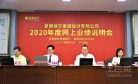 蒙娜丽莎举办2020年度网上业绩说明会