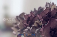 花粉满天飞的春季,还好有金茂绿建的新风系统