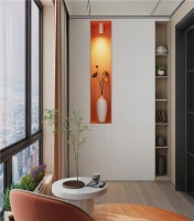 阳台N+模式 值得收藏！