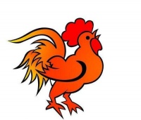 属鸡的和什么属相相冲 属鸡合作搭档宜忌