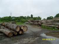 偷偷告诉你 这一款可以溯源的好运地板