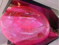 夏日浓情有多火热,西美的红细胞就有多火