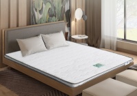 经验分享：椰棕床垫有什么推荐