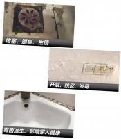 如何披荆斩棘，修复家居“颜值BUG”？