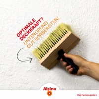 阿尔贝娜丨护墙如护肤,涂料界的你更好的涂装体验