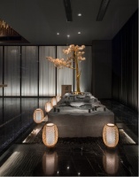 设计师王鹏加持智能家居 摩根让智慧家居生活触手可及