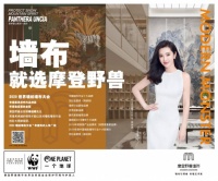 墙布加盟、壁布代理选哪个品牌好？