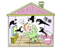 不用纠结了,花2分钟看完这篇除醛干货,一目了然