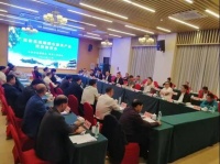 木材节约发展中心考察团走访调研广西木业产业