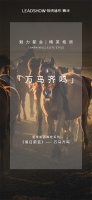 【领绣·菁华】新品窗帘用爱马仕橙+高级灰，精英生活的“新标配”