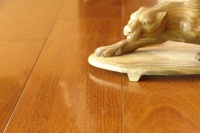 二翅豆地板——实木地板中的“龙凤”