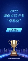 整装标杆 行业卓群