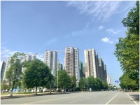 明珠老友拜访丨省心整家，让美好如约到家