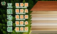 爆款推荐，家装就用伟业五强功能板