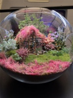 春日造景企划：一木一叶老李，把春天种进花海生态缸