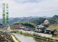 “认养一颗山茶树”CEO蒋琳：发展网红文旅带动油茶农民致富