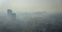想要拥有365天的好空气？谁说一定要出门找寻
