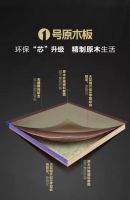 进击2022 | 大王椰聚势腾飞，筑梦未来