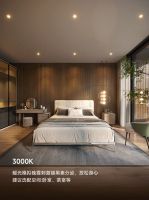 大师级好光｜UIOT超级AI无主灯澎湃登场！