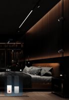 大师级好光｜UIOT超级AI无主灯澎湃登场！