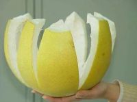 开始注重装修后的环保工作？这些经验总结快收好