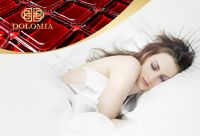 好好睡觉，是人生的重启方式！枕头界的“爱马仕”DOLOMIA开启全球睡眠盛宴