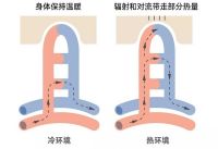 房子自动调温?金茂健科的科技系统是如何实现的?
