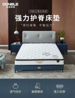 腰痛人的春天，东宝床垫呵护脊椎健康