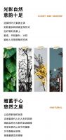 【领绣·菁华】光与影的交叠重奏，洋溢着诗意的情愫