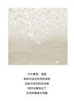 【领绣·菁华】光与影的交叠重奏，洋溢着诗意的情愫