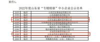 热烈祝贺山东佰晟科技金属有限公司 山东金色阳光建材有限公司入选山东省“专精特新”企