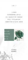 【领绣·菁华】新品发布 夏日友晴天，给你一个会呼吸的家居空间