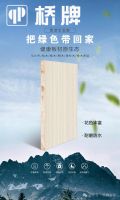 喜获“环保板材十大品牌”，桥牌板材用实力为自己代言
