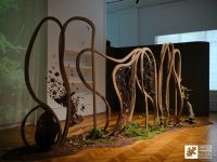 “林间有归途”可持续美国阔叶木概念设计展在沪揭幕 缘起纪录片《Forested Future 森生不息》，一场花植、光影、声音与木作交融的沉浸式感官盛宴