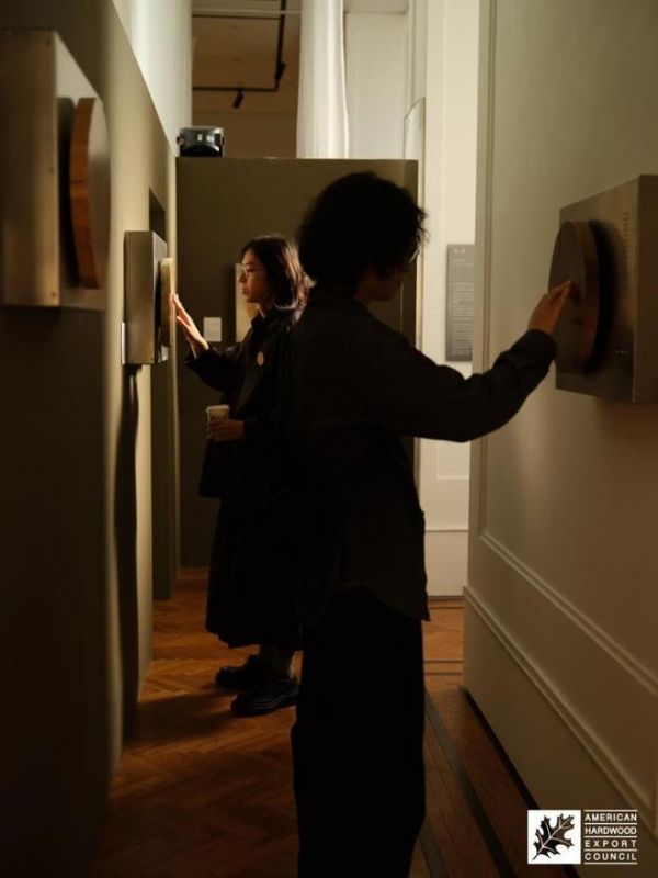 “林间有归途”可持续美国阔叶木概念设计展在沪揭幕